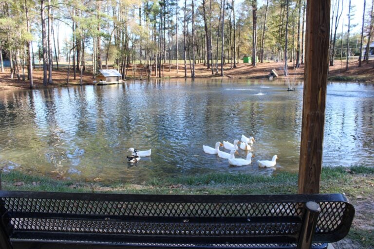 Fishing Pond